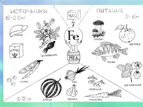 Железо и его влияние на организмы - презентация онлайн