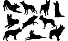 Dog German Shepherd Silhouette Free Stock Photo - Public Domain Pictures