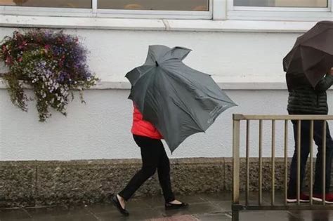 Strangers And Stun Passengers With NUDE ROMP On Exeter Bound National Express Devon Live