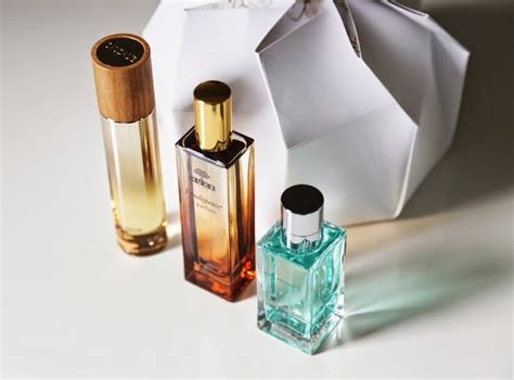 Fashion And Beauty Now Tres Perfumes De Farmacia Que Te Conquistarán