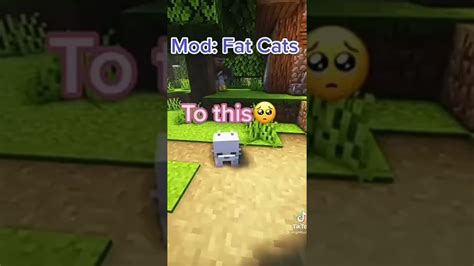 Mod Fat Cats Shorts Minecraft Youtube