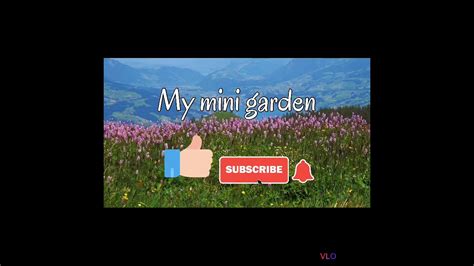My Mini Garden Youtube