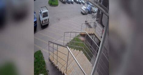 СМИ2 — В Воронеже выпавшая из многоэтажки 19-летняя девушка провела ...