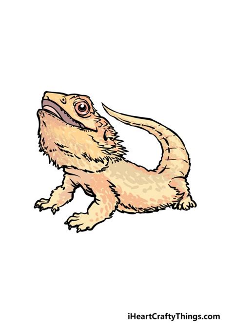 Bearded Dragon Drawing How To Draw A Bearded Dragon Step By Step