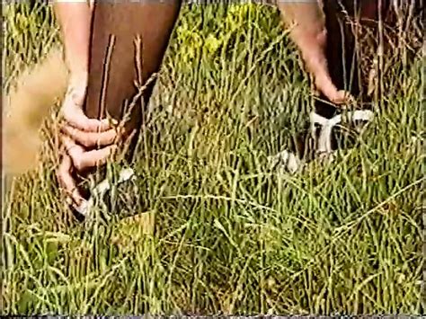 Anita Feller Porn Videos Porn Star Sex Scenes XHamster