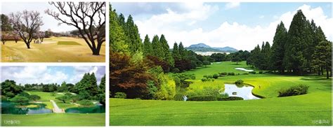 Breathtaking Golf Courses In Korea With Pristine Greens