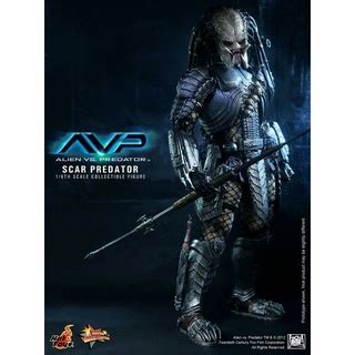 野獸國 Hot Toys MMS 異形戰場 刀疤 異形 終極戰士 終戰 Scar Predator 蝦皮購物