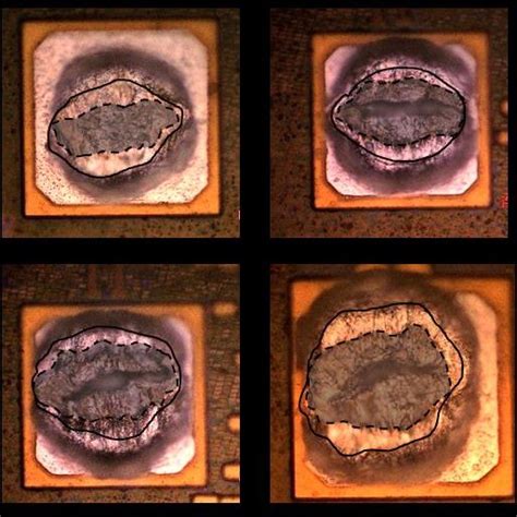 images  ball bond bond pad interface post etching  um bond pad