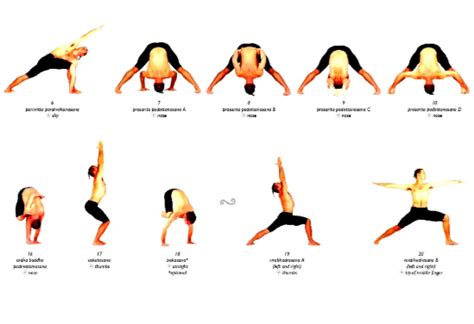 Asana Trong Yoga Là Gì Vua PhÁ LƯỚi
