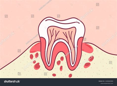 Tooth Enamel Care Royalty Free Images Stock Photos And Pictures