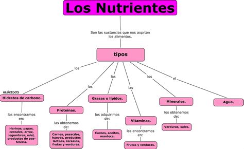 Mapa Mental De Los Nutrientes Porn Sex Picture