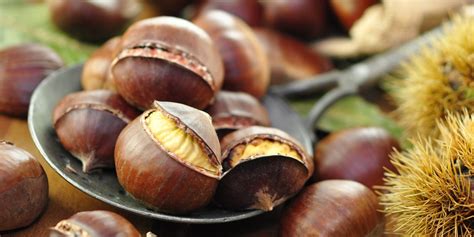 Autunno Tempo Di Castagne Tutte Le Sagre Nei Dintorni Di Roma