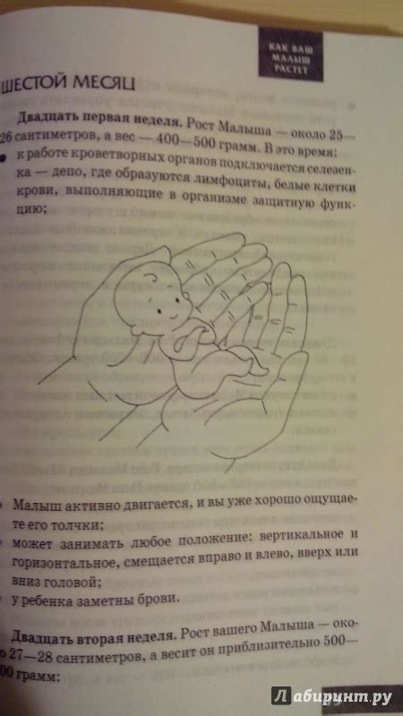 Книга: Ваш любимый человечек от зачатия до рождения - Светлана Клаас ...