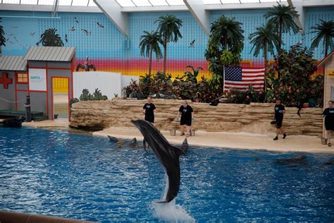 how much does it cost to go to brookfield zoo