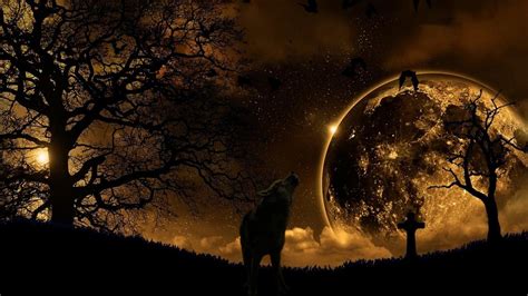 Луна Вълк Гора - Безплатно изображение в Pixabay - Pixabay