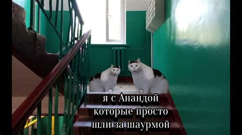 хз - YouTube