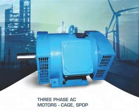 SPDP Squirrel Cage Induction Motors at Rs 15000 | 3 phase squirrel cage ... 
