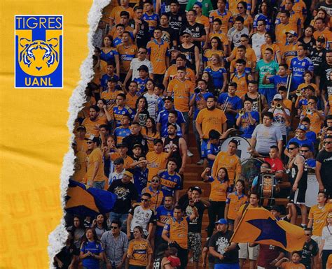 Boletomovil Tigres Vs FC Motagua