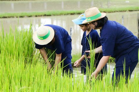 Being A Farmer Vanich Farm