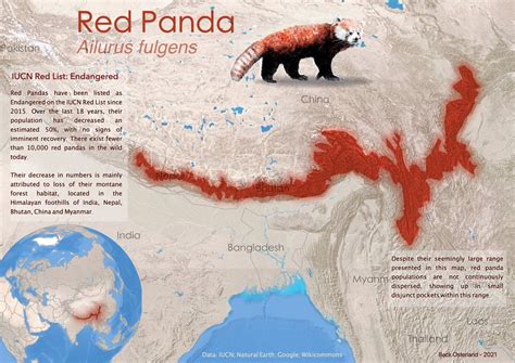 Why Are Red Pandas Endangered WorldAtlas