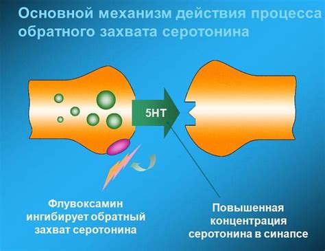 Элицея: инструкция по применению, отзывы принимающих и врачей, аналоги