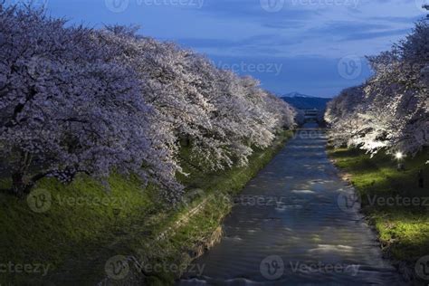 Cherry blossom festival in Japan 14377715 Stock Photo at Vecteezy