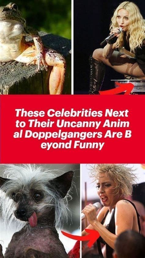 These Celebrities Next To Their Uncanny Animal Doppelgangers Are Beyond