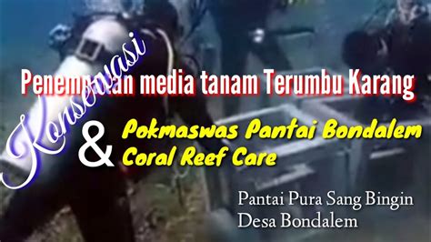 Konservasi Terumbu Karang Pokmaswas Pantai Bondalem Bersama Coral