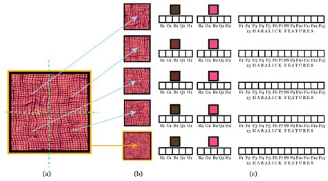 Applied Sciences Free Full Text Colortexture Pattern