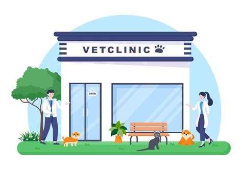 M Dico De La Cl Nica Veterinaria Examinando Vacunando Y Cuidando La