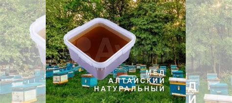 Мёд натуральный из Алтая опт купить в Новосибирске | Товары для дома и ...