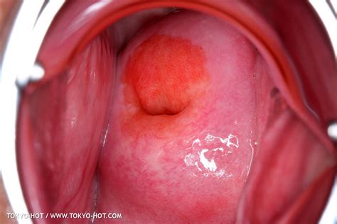 Tokyo Hot N Set Momoko Oishi Porn Pic