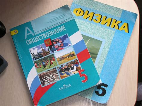 Какие предметы будут в 5 классе в 2024-2025 году: полный список по ...