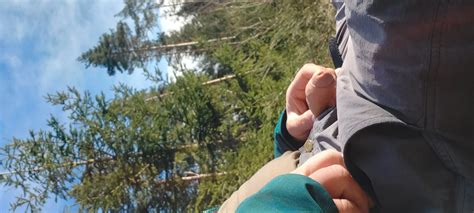 In Het Bos 8 Nude Pics XHamster