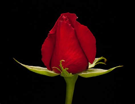 Why Menopause Can Reduce Your Sex Drive Vergo Woman