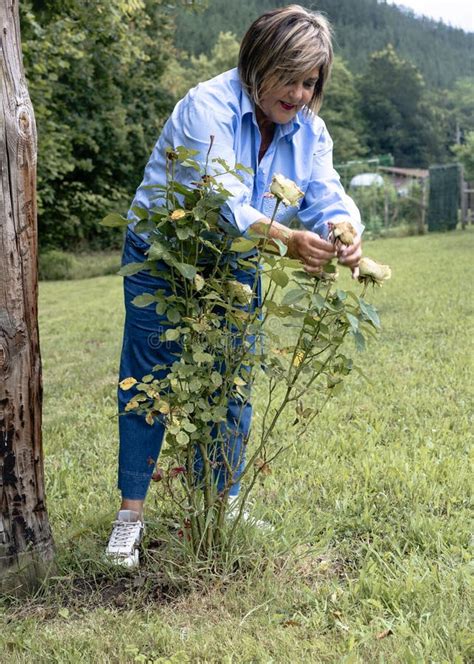 Mature Trimming Her Bush Stock Photos Free Royalty Free Stock Photos From Dreamstime