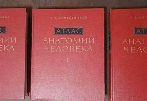 Атлас анатомии человека. 3 тома. Синельников | Festima.Ru - Мониторинг ...