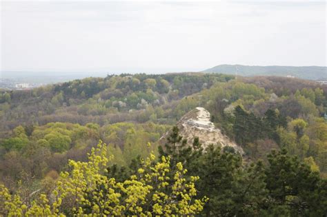 Лиса гора у Львові. Все про місце: фото, відео, як добратися ...
