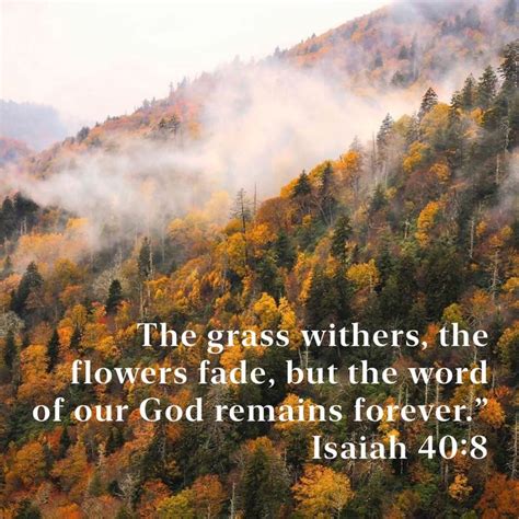 Isaiah 40 8 The Grass Withers The Flowers Fade But The Word Of Our