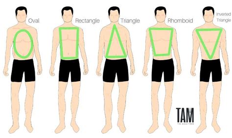 Curvy Body Type For Men