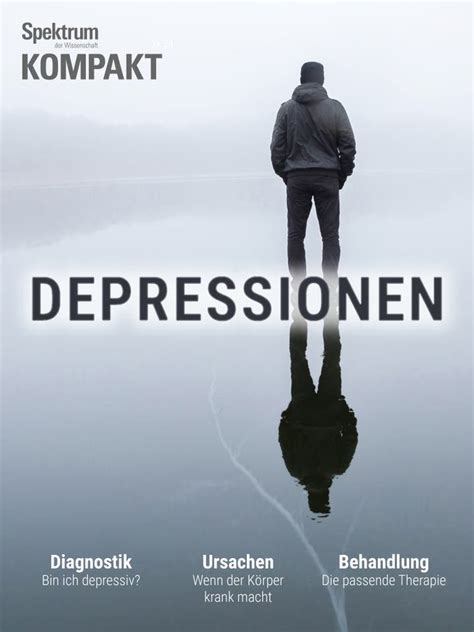 Depressionen Spektrum Kompakt 40 24 Spektrum Der Wissenschaft