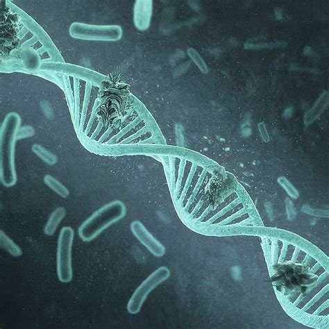 Battling Viruses and Breaking Stereotypes: My UV Sterilizer Journey ...