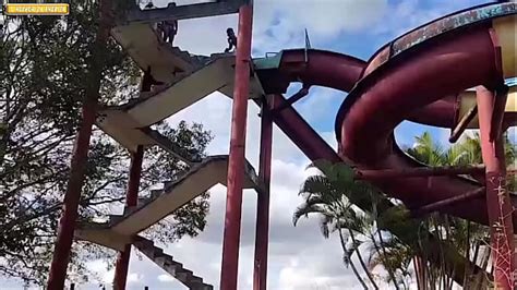 Foda No Mato Videos Xvideos