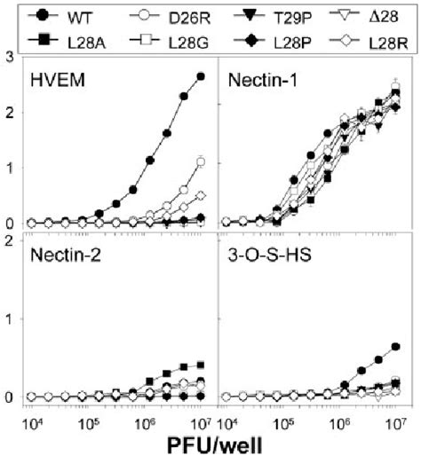 Figure From Random Mutagenesis Of The Gene Encoding A Viral Ligand