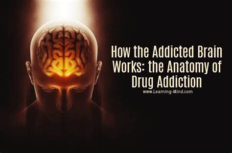 新着ランキング Anatomy Of Addiction Blogknakjp