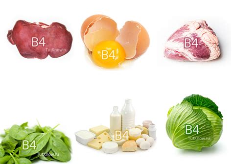 Витамин В4 (холин): в каких продуктах содержится