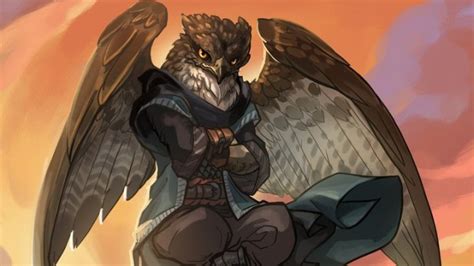 Aarakocra Variants for Dungeons & Dragons 5th Edition – Part 2 – DMDave ...