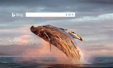 bing homepage tony wu
