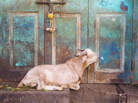 8 Things To Know Before Travelling To India - Fresh And Fearless