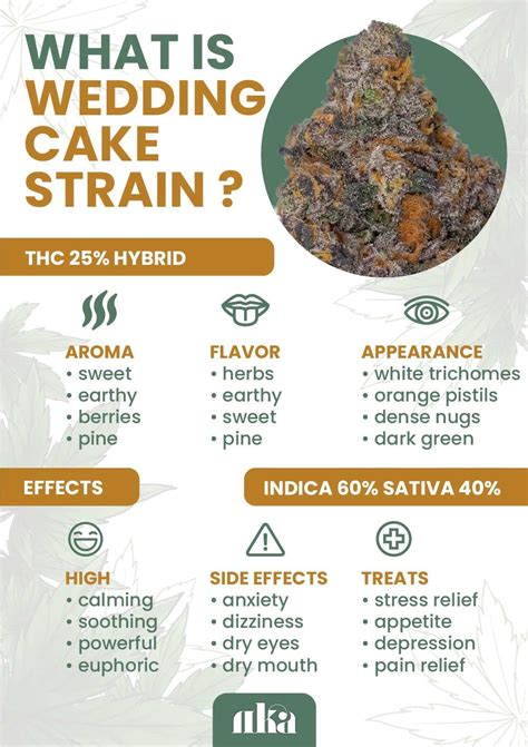 Wedding Cake Strain Weed Strain Information Guide